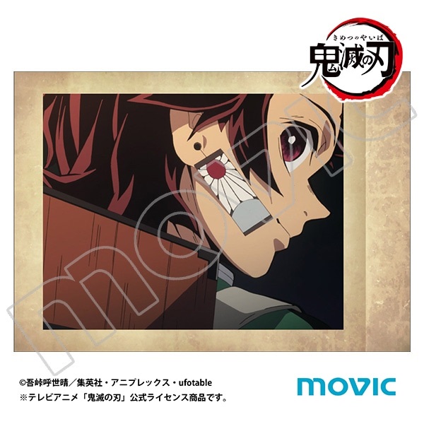 【鬼滅之刃】拍立得風卡片收集(盒購) B10◆ぱしゃこれ･ｱﾆﾒ版／其ﾉ弐