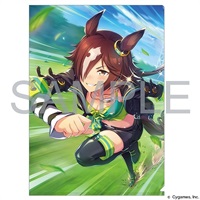 【賽馬娘Pretty Derby】資料夾vol.2 ［ロード・オブ・ウオッカ］ウオッカ