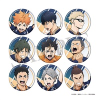 【排球少年】收集徽章 POINT GET!! /隨機單抽