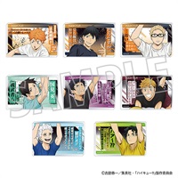 【排球少年】壓克力磚(隨機) B8◆名言ｱｸﾘﾙﾌﾞﾛｯｸｺﾚｸｼｮﾝ･ｱﾆﾒ版