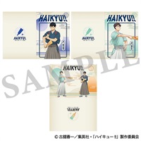 【排球少年】資料夾組 IGｽﾄｱ先→ｱﾆﾒ･ｸﾘｱﾌｧｲﾙ/新春3枚(影山及川集)