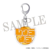 【排球少年】壓克力鑰匙圈 IGｽﾄｱ先→ｱﾆﾒ版･文字ｱｸﾘﾙｷｰﾎﾙﾀﾞｰ/日向翔陽