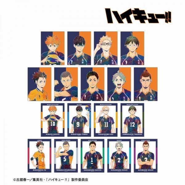 【排球少年!!】Ani-Art 第4彈寫真卡
